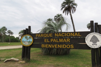Parque Nacional El Palmar: un tesoro natural de Argentina, refugio de historia y naturaleza